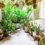 The Green Haven - Lush Industrial Chic Living