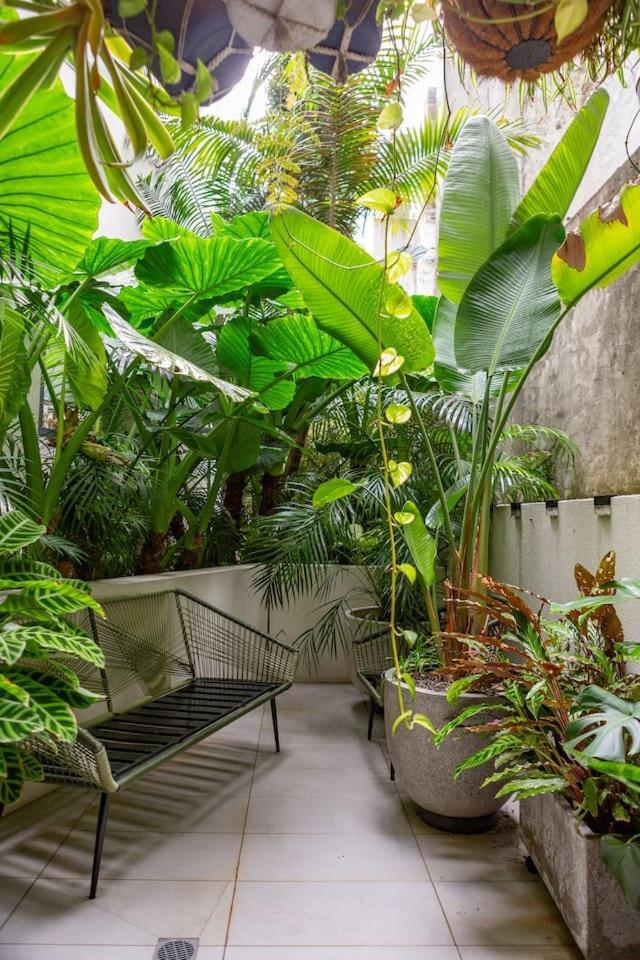 The Green Haven - Lush Industrial Chic Living Apartment *